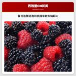 警员追捕逃逸司机撞车致车辆起火