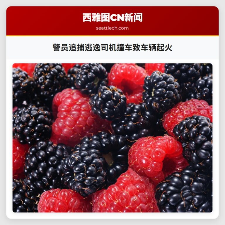 警员追捕逃逸司机撞车致车辆起火