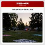 海塔克角湖公园斗殴致人受伤