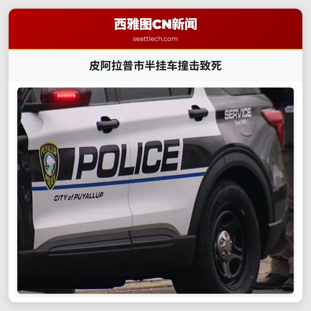 皮阿拉普市半挂车撞击致死