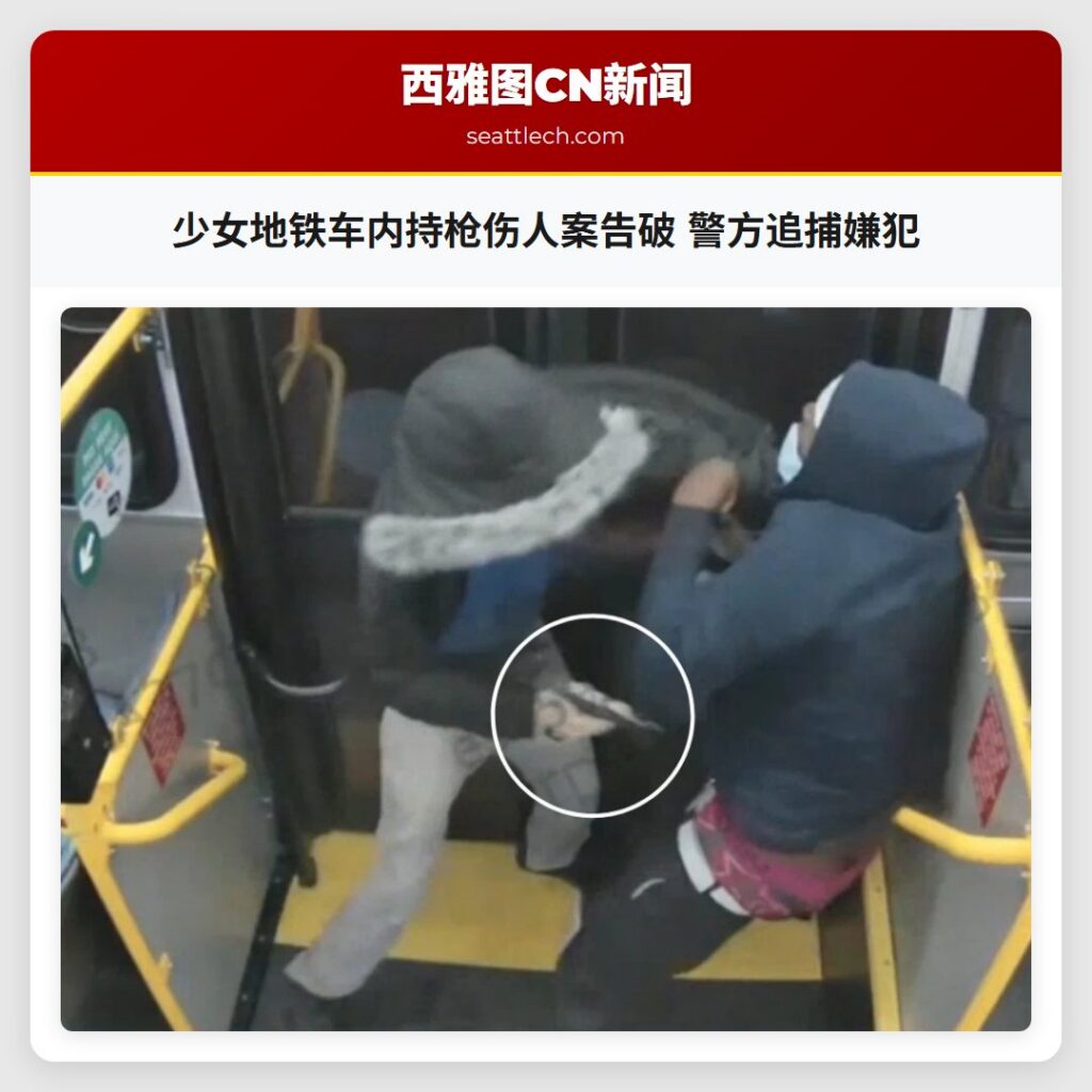 少女地铁车内持枪伤人案告破 警方追捕嫌犯