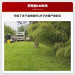阿伯丁男子虐待致死4岁子并藏尸被起诉