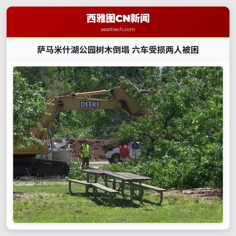 萨马米什湖公园树木倒塌 六车受损两人被困