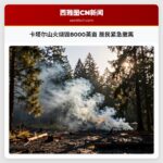 卡塔尔山火烧毁8000英亩 居民紧急撤离