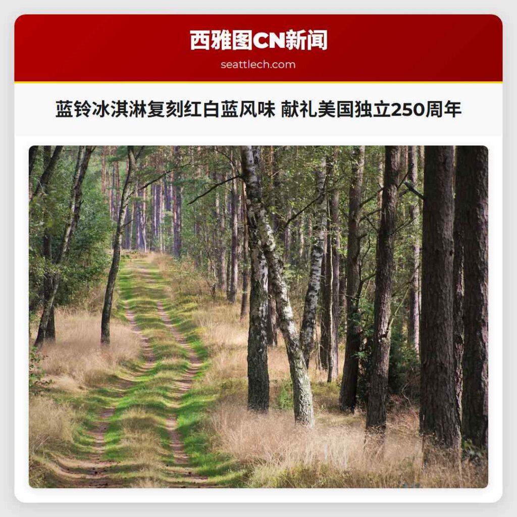 蓝铃冰淇淋复刻红白蓝风味 献礼美国独立250周年