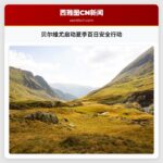 贝尔维尤启动夏季百日安全行动