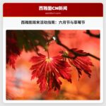 西雅图周末活动指南：六月节与草莓节