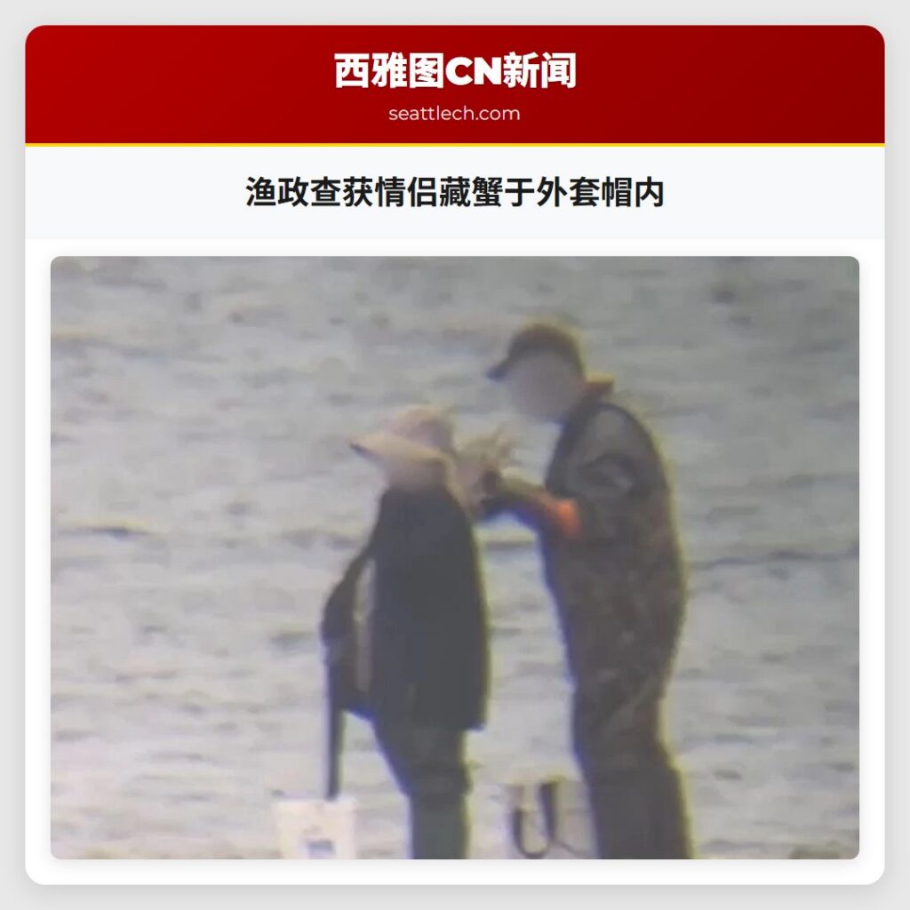 渔政查获情侣藏蟹于外套帽内
