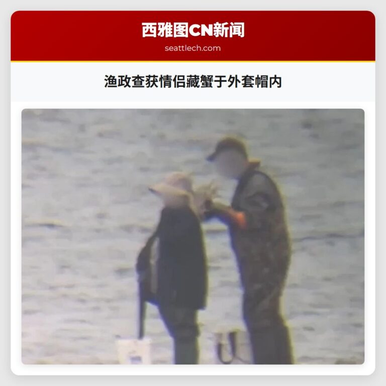 渔政查获情侣藏蟹于外套帽内