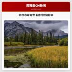 凯尔·布希离世 桑德拉致谢粉丝