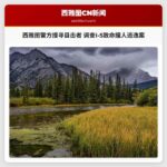 西雅图警方搜寻目击者 调查I-5致命撞人逃逸案