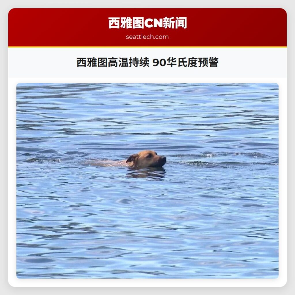 西雅图高温持续 90华氏度预警