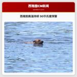 西雅图高温持续 90华氏度预警