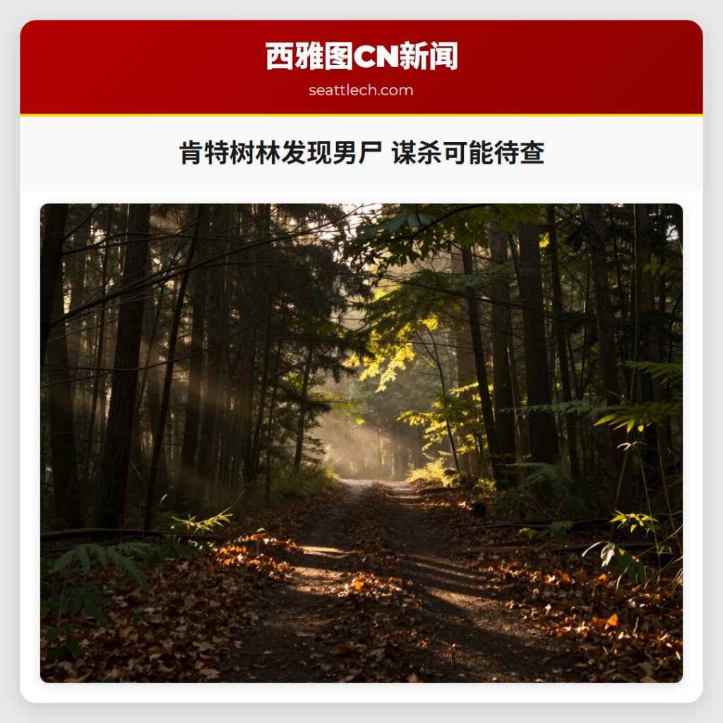 肯特树林发现男尸 谋杀可能待查