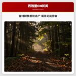 肯特树林发现男尸 谋杀可能待查