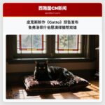 皮克斯新作《Gatto》预告发布 鲁弗洛菲什伯恩演绎猫帮双雄