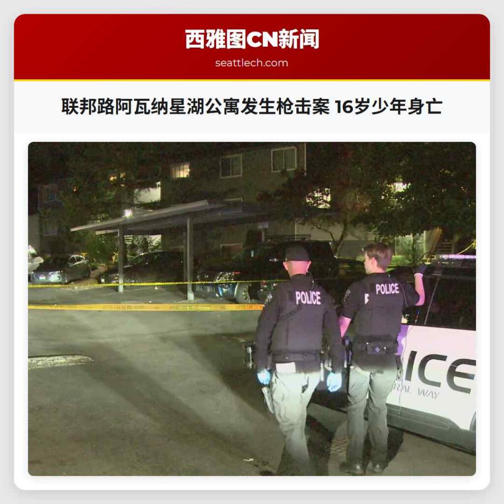 联邦路阿瓦纳星湖公寓发生枪击案 16岁少年身亡