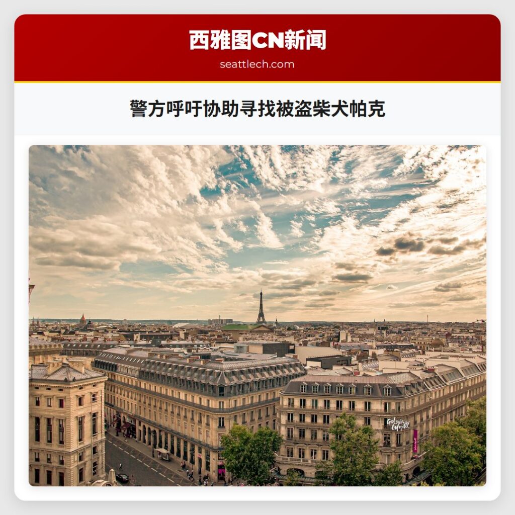 警方呼吁协助寻找被盗柴犬帕克