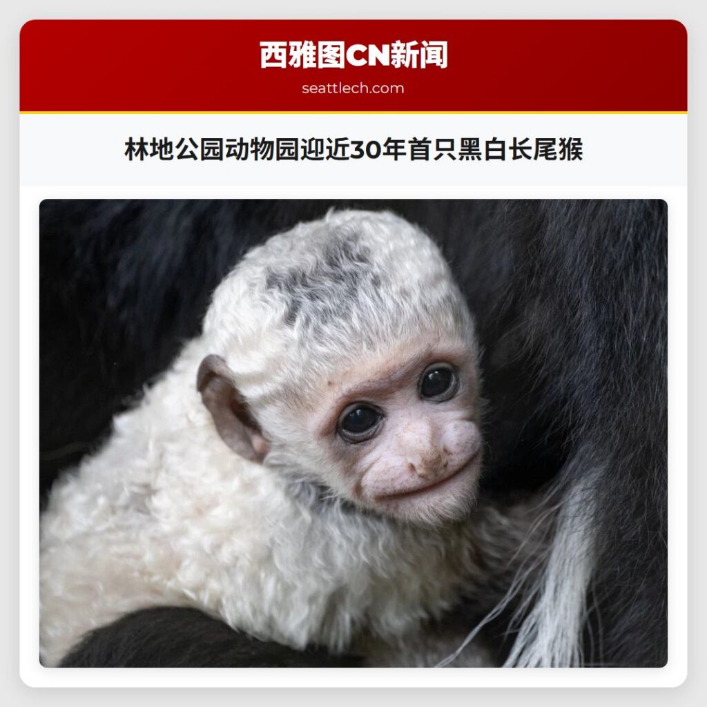 林地公园动物园迎近30年首只黑白长尾猴