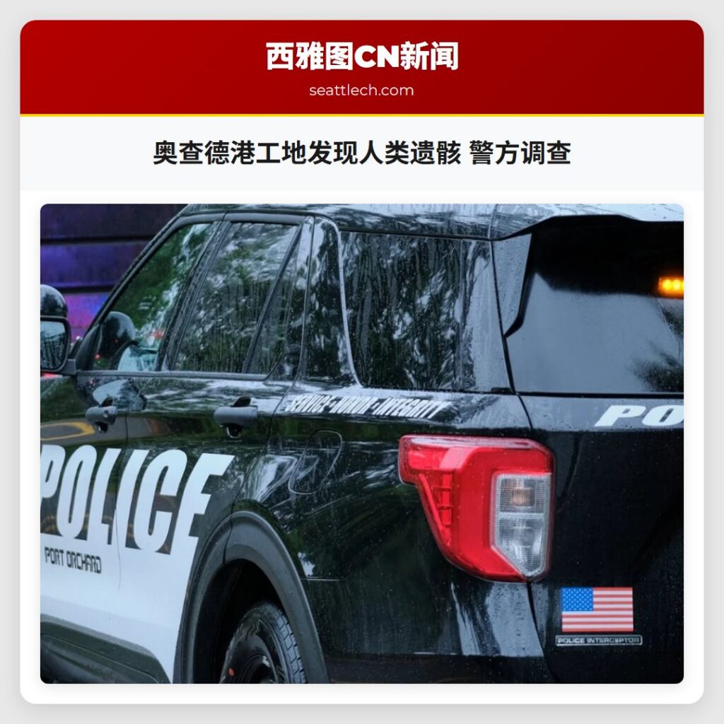 奥查德港工地发现人类遗骸 警方调查