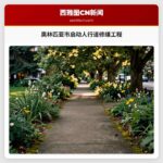 奥林匹亚市启动人行道修缮工程