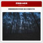 西雅图居民质问市政府 暴力问题无行动