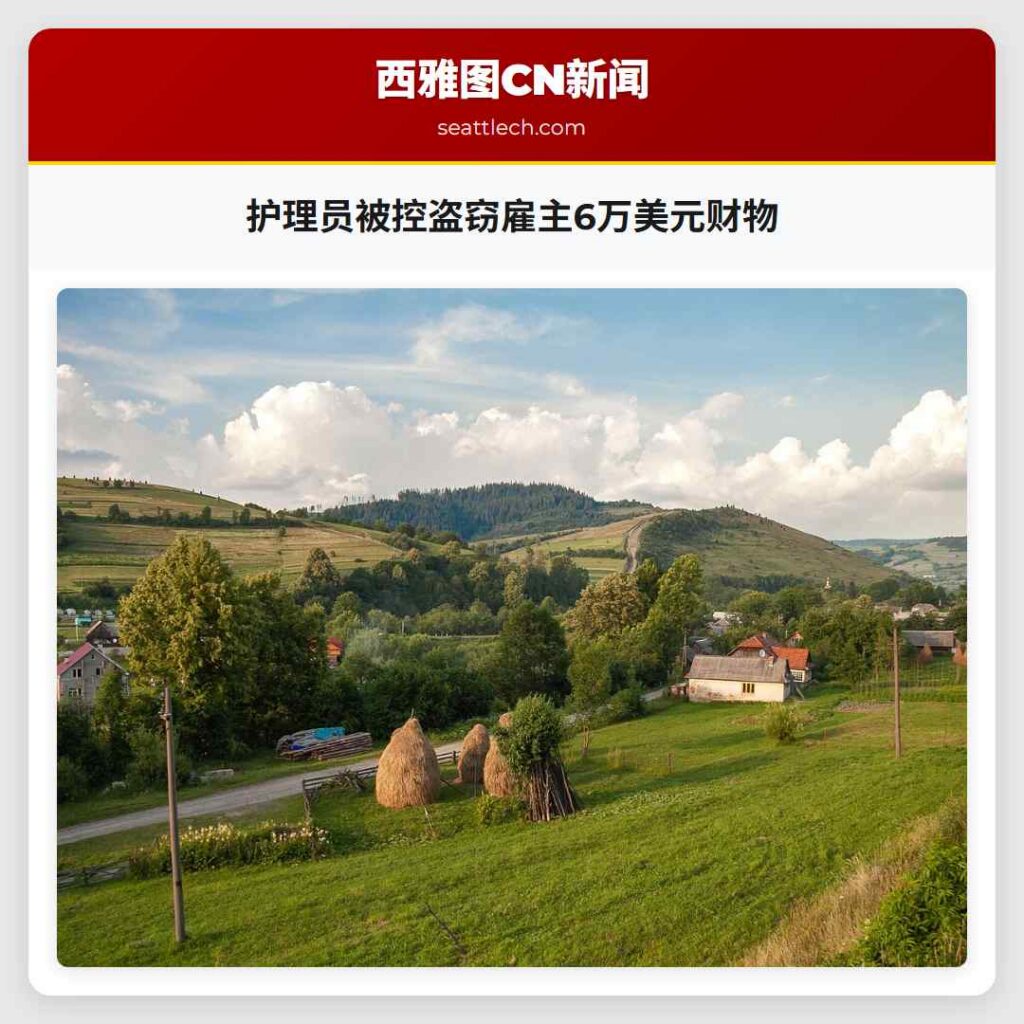 护理员被控盗窃雇主6万美元财物