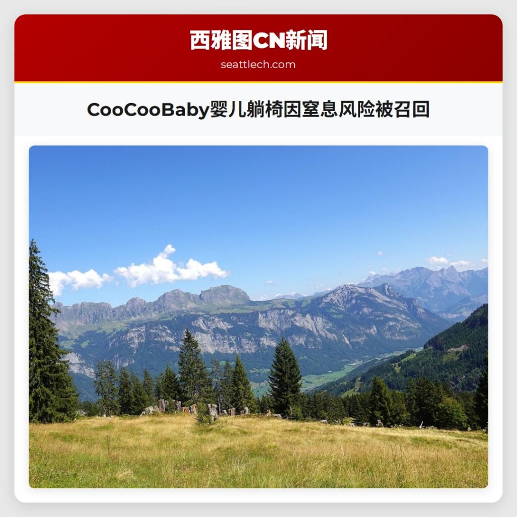 CooCooBaby婴儿躺椅因窒息风险被召回