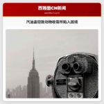 汽油盗窃致动物收容所陷入困境