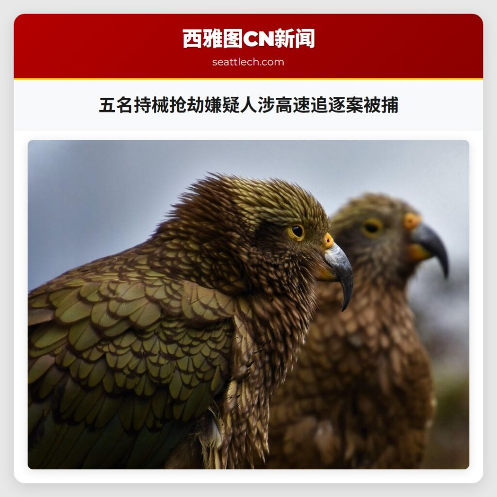 五名持械抢劫嫌疑人涉高速追逐案被捕