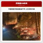 华盛顿夏季或迎高温干旱 火灾风险升高