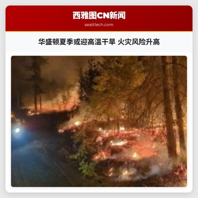 华盛顿夏季或迎高温干旱 火灾风险升高