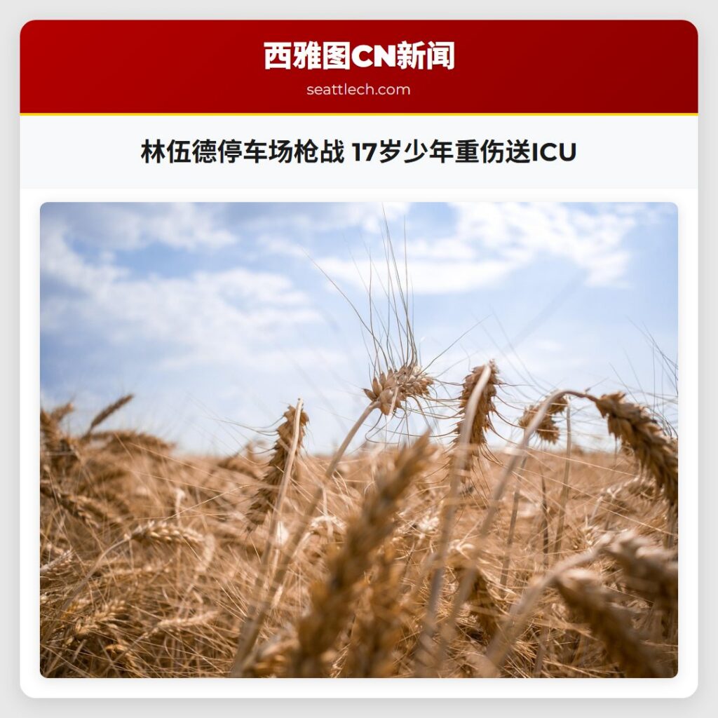 林伍德停车场枪战 17岁少年重伤送ICU