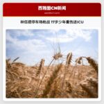 林伍德停车场枪战 17岁少年重伤送ICU