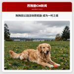 狗狗因公园活动获奖励 成为一时之星