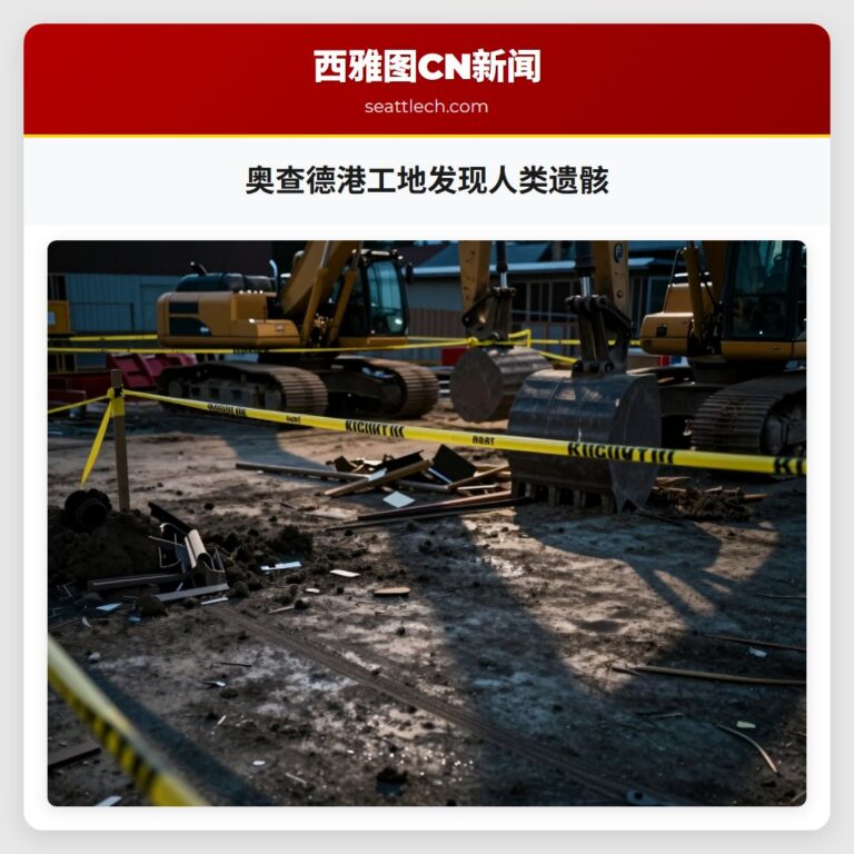 奥查德港工地发现人类遗骸
