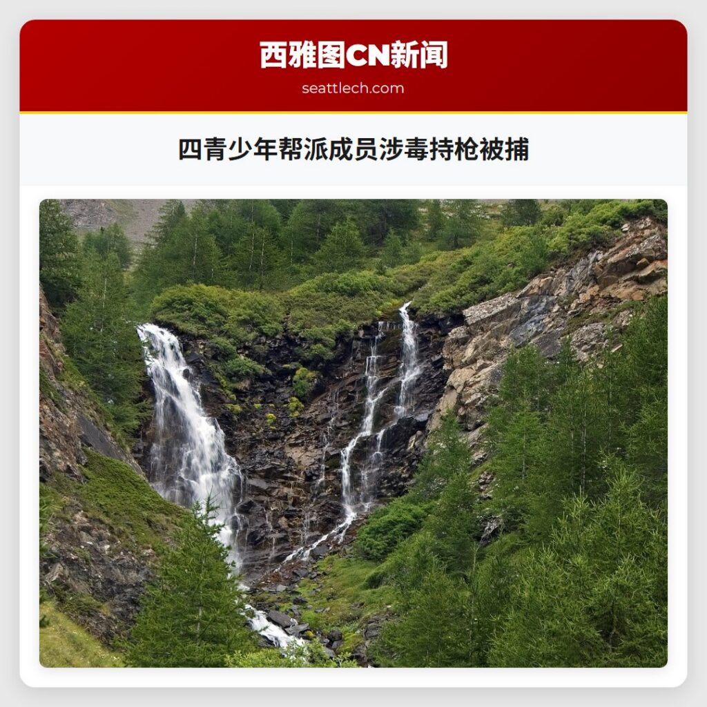 四青少年帮派成员涉毒持枪被捕
