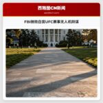 FBI挫败白宫UFC赛事无人机阴谋