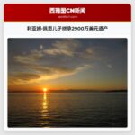 利亚姆·佩恩儿子继承2900万美元遗产