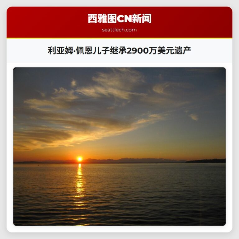 利亚姆·佩恩儿子继承2900万美元遗产