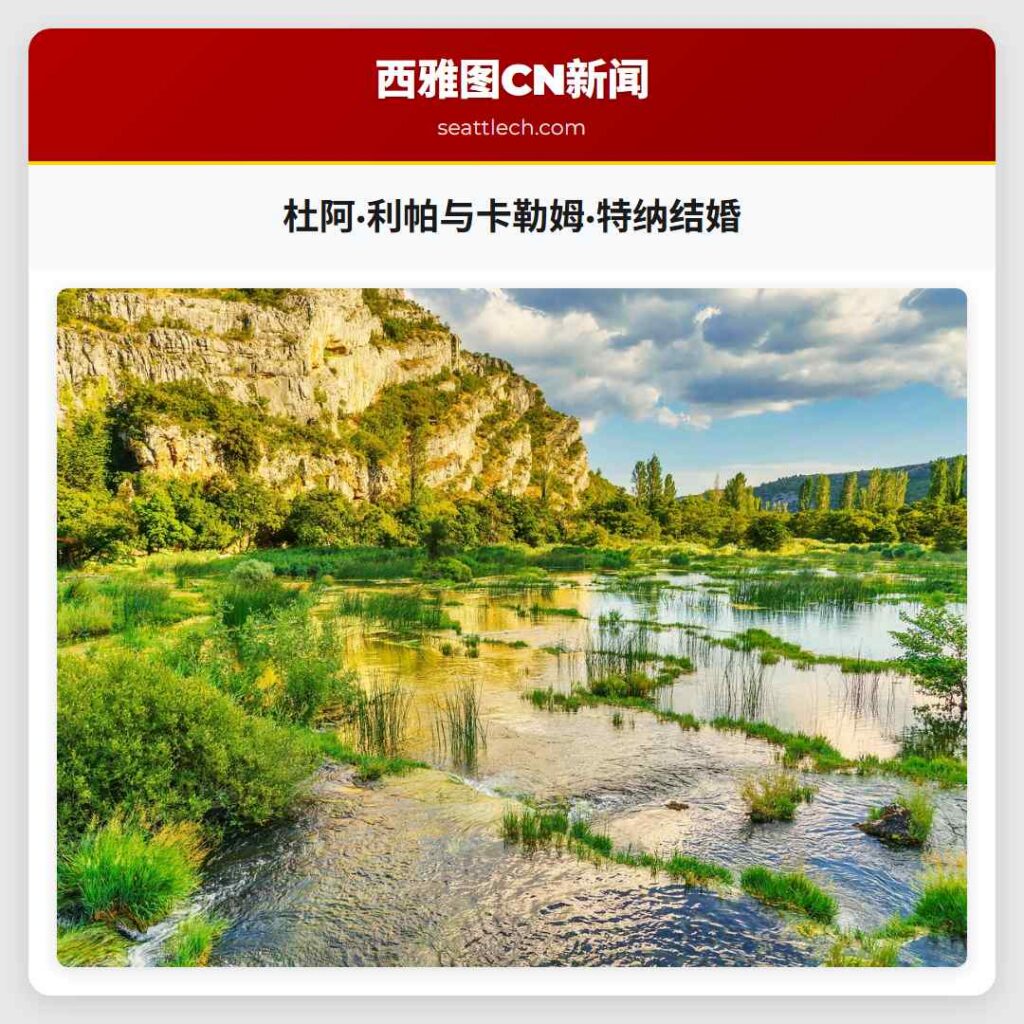 杜阿·利帕与卡勒姆·特纳结婚