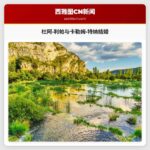 杜阿·利帕与卡勒姆·特纳结婚