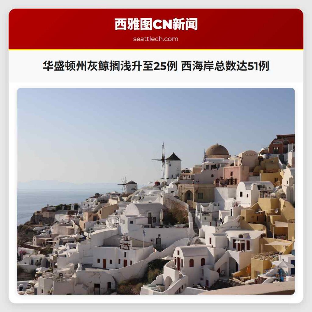 华盛顿州灰鲸搁浅升至25例 西海岸总数达51例