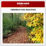 华盛顿渡轮庆75周年 推出多项活动