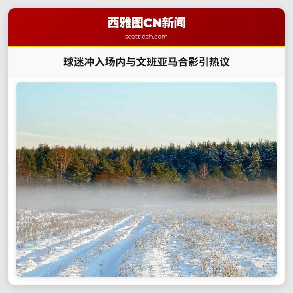 球迷冲入场内与文班亚马合影引热议