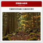 华盛顿州位列全美十大最适合生育州