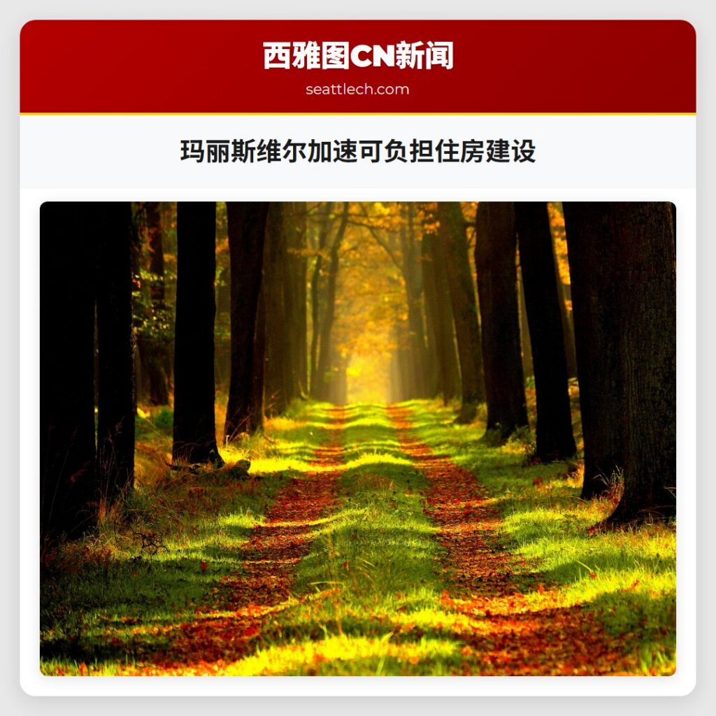 玛丽斯维尔加速可负担住房建设