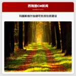 玛丽斯维尔加速可负担住房建设