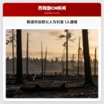 斯波坎谷野火人为引发 1人遇难