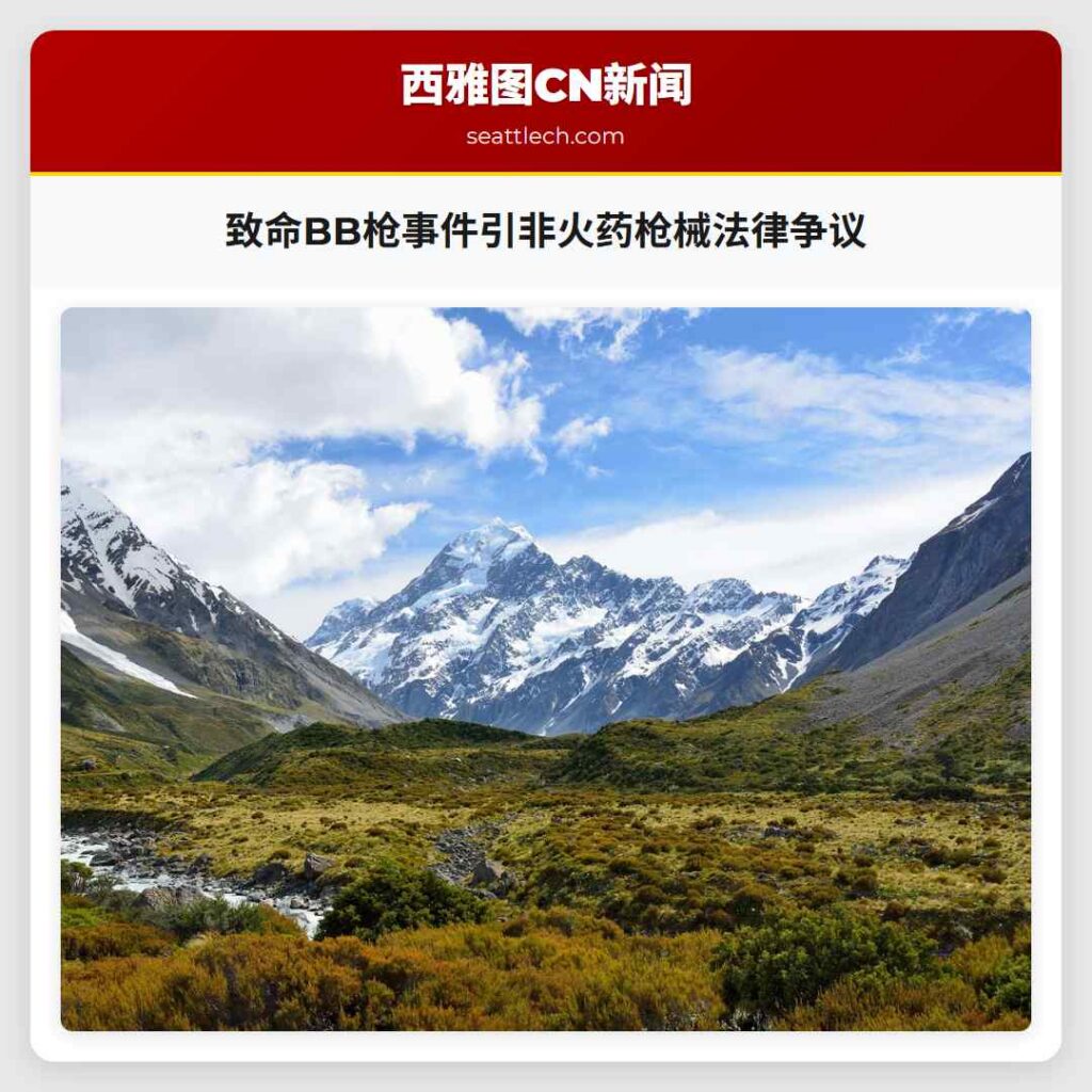 致命BB枪事件引非火药枪械法律争议